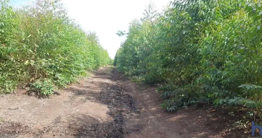 ÓTIMA FAZENDA DUPLA APTIDÃO 70 ALQUEIRES PAULISTAS EM FORMIGA-MG