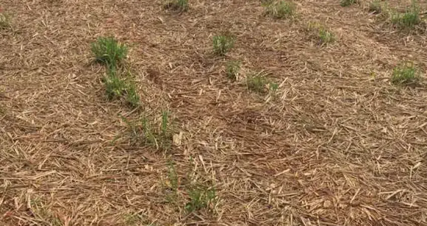 FAZENDA COM  37 ALQUEIRES PARA AGRICULTURA EM CANA NO MUNICÍPIO DE SANTA VITÓRIA - MG