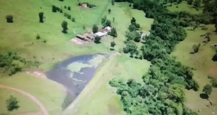 Fazenda com 120 alqueires para pecuária no município de água limpa - go