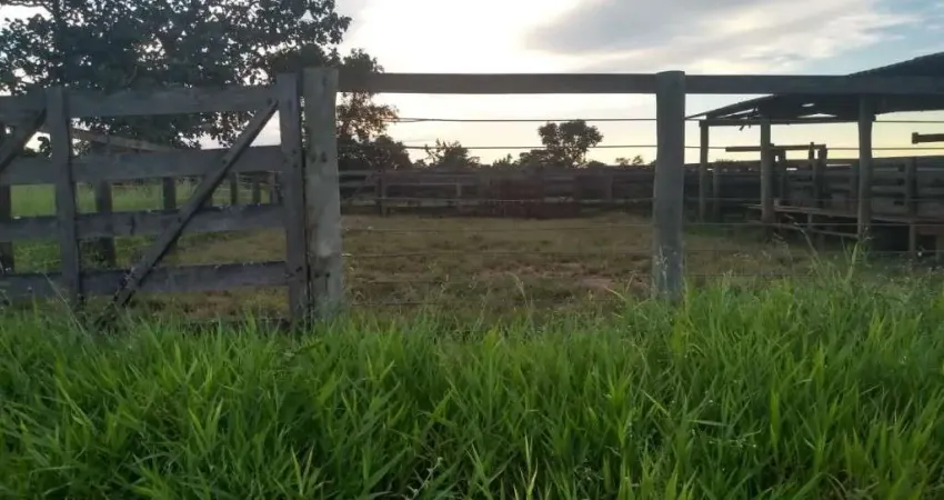 FAZENDA COM 62 ALQUEIRES PARA PECUÁRIA NO MUNICÍPIO DE ITUIUTABA - MG