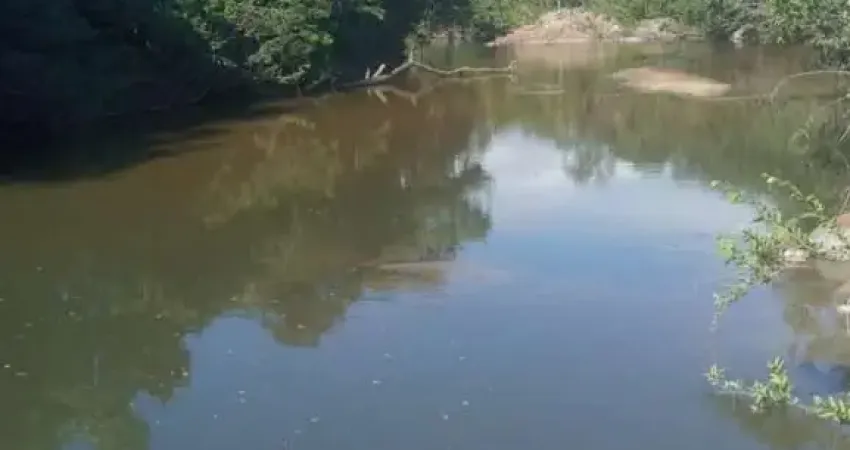 Fazenda à venda na Estrada Vicinal Municipal de Arraias, km 50, Zona Rural, Arraias