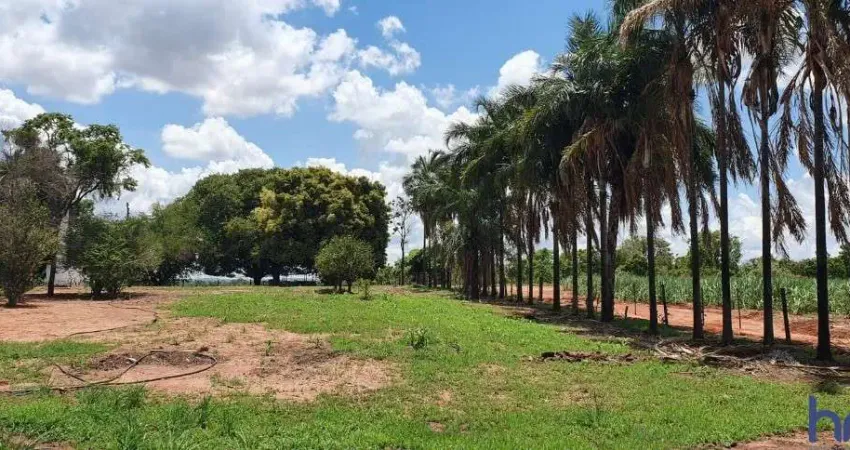FAZENDA 41 ALQUEIRES DUPLA APTIDÃO EM COMENDADOR GOMES-MG