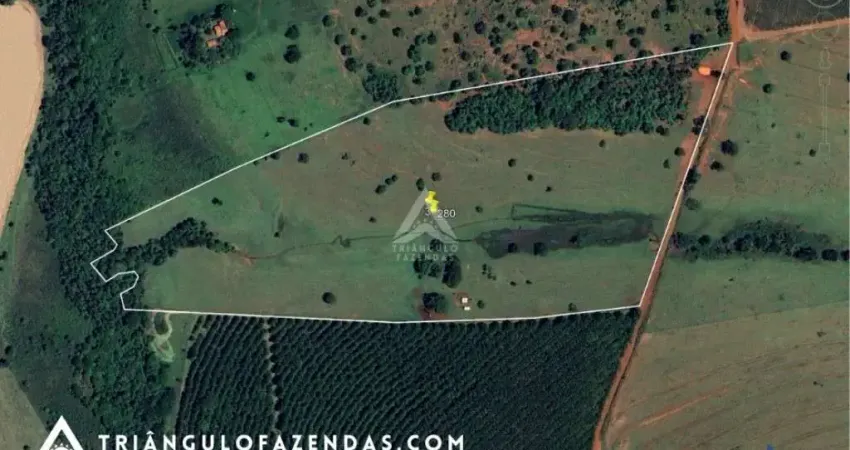 Sítio de 3 alqueires dupla aptidão em são francisco de sales-mg