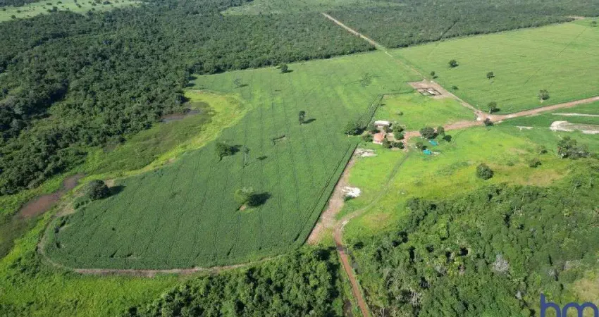 Fazenda com 100 alqueires de dupla aptidão em são miguel do araguaia-go
