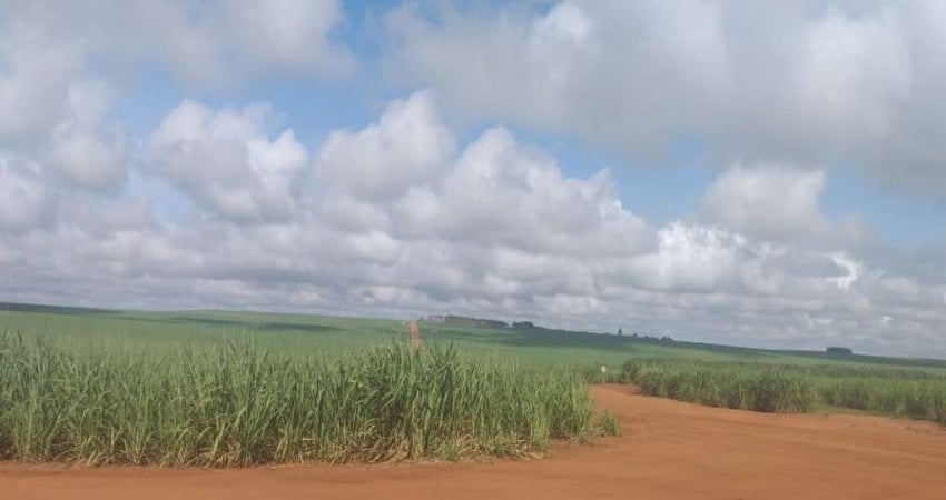 FAZENDA 304 ALQUEIRES PLANTADA EM CANA E ARRENDADA EM MINEIROS-GO