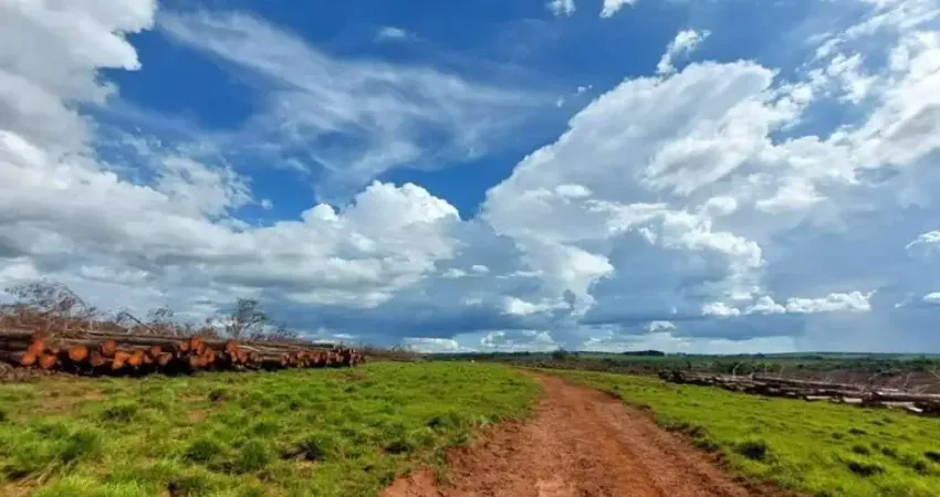 FAZENDA COM 63 ALQUEIRES DE DUPLA APTIDÃO EM UBERLÂNDIA-MG