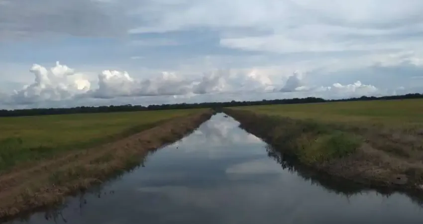 FAZENDA COM 77 ALQUEIRES PARA AGRICULTURA IRRIGADA EM LAGOA DA CONFUSÃO - TO