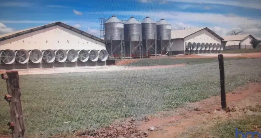 EXCELENTE FAZENDA COM GRANJA COMPLETA DE SUINOS E AVES DUPLA APTIDÃO EM MONTE ALEGRE DE MINAS - MG