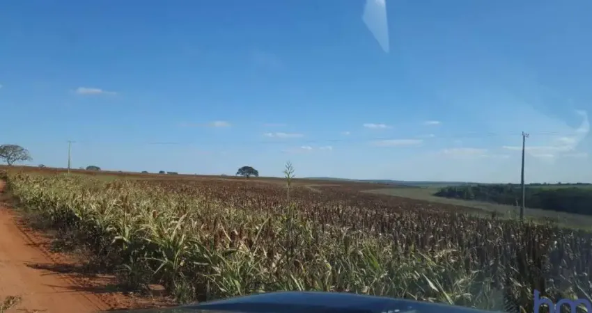 FAZENDA DUPLA APTIDÃO COM 82 ALQUEIRES EM UBERLÂNDIA-MG