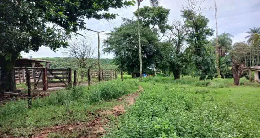 OPORTUNIDADE FAZENDA COM 136 ALQUEIRES EM UBERABA-MG ARRENDADA PARA CANA