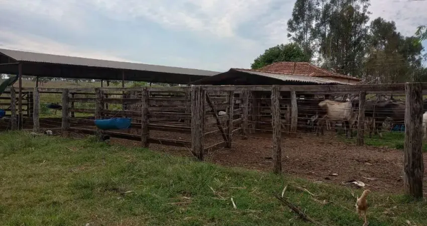 Fazenda à venda na Estrada Rural de União de Minas, KM 13, Zona Rural, União de Minas
