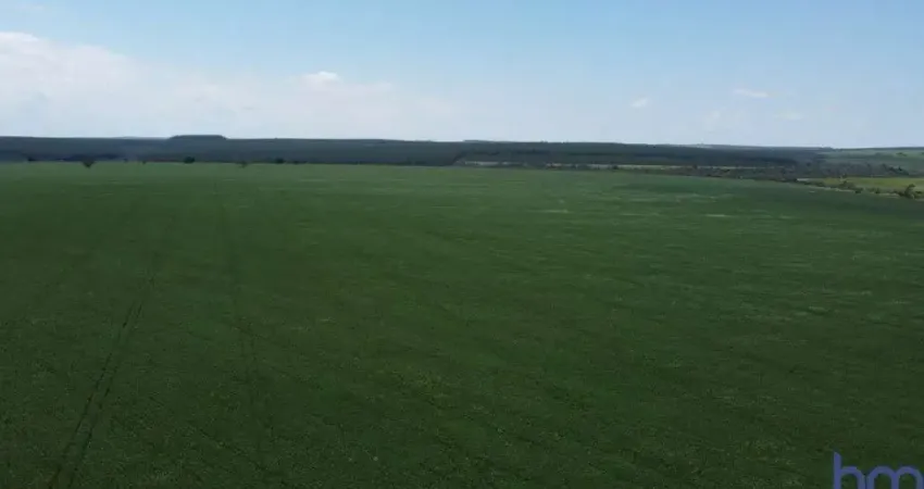 ÓTIMA FAZENDA PARA AGRICULTURA COM 120 ALQUEIRES NO PRATA-MG