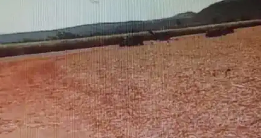 OPORTUNIDADE FAZENDA 36 ALQUEIRES DUPLA APTIDÃO COMENDADOR GOMES-MG