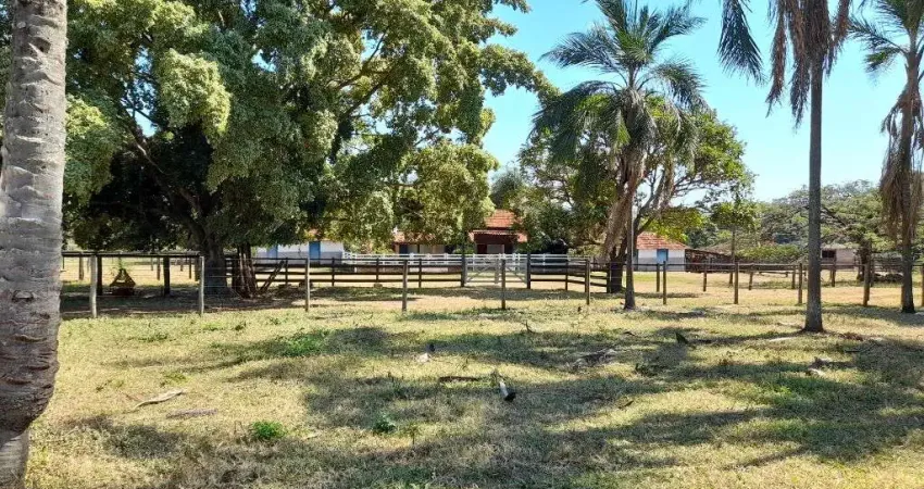 Fazenda à venda na Estrada Vicinal Municipal do Prata, km 10.5, Zona Rural, Prata