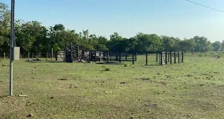 FAZENDA COM 46 ALQUEIRES DE DUPLA APTIDÃO EM DUERÉ-TO