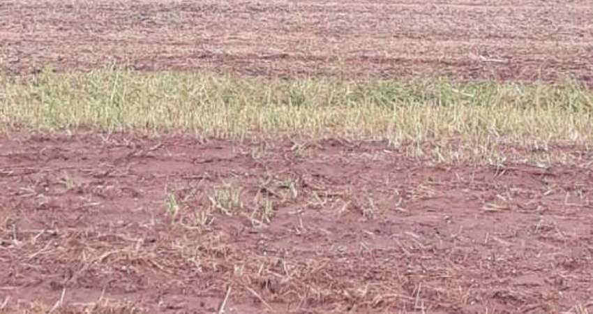 EXCELENTE FAZENDA DE DUPLA APTIDÃO COM 450 ALQUEIRES EM MONTIVIDIU-GO