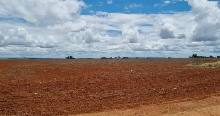Otima fazenda produtiva com 170 alqueires para soja café algodão ou feijão em guarda mor-mg