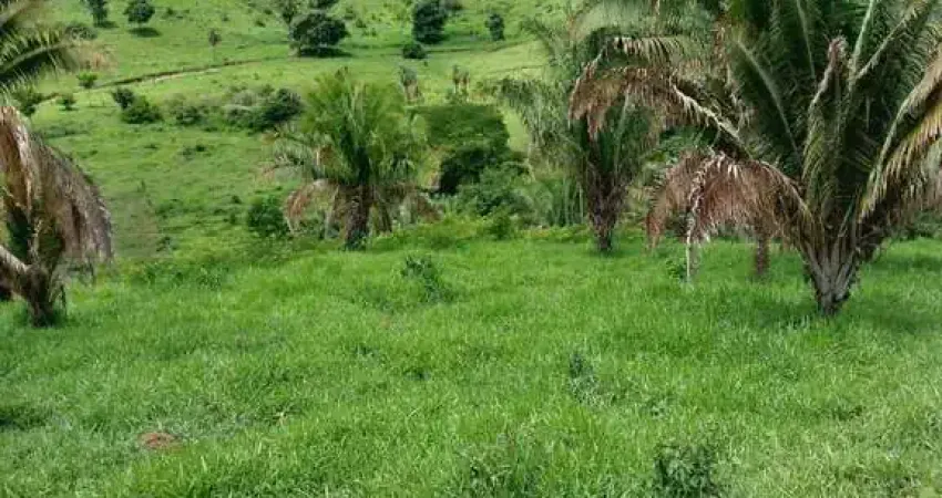 Fazenda à venda na Estrada Vicinal Municipal de Campinaçu, Km 4, Zona Rural, Campinaçu