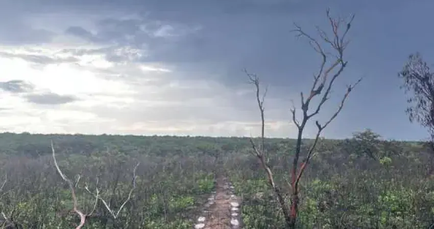 FAZENDA DE DUPLA APTIDÃO COM 4.500 ALQUEIRES EM SÃO JOSÉ DO PEIXE-PI