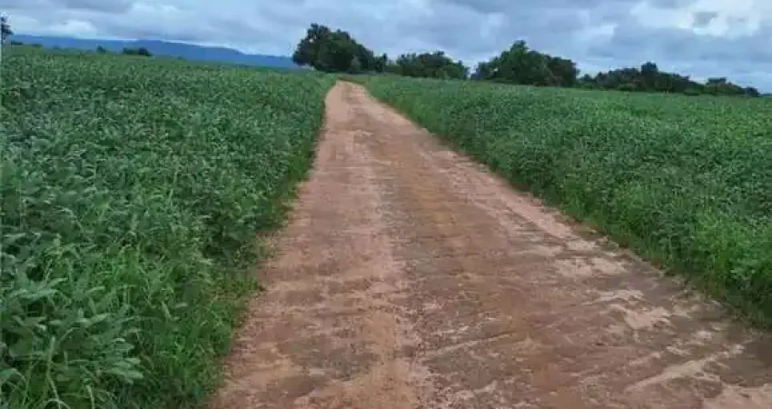 FAZENDA COM 150 ALQUEIRES PARA AGRICULTURA EM BREJINHO DE NAZARÉ-TO