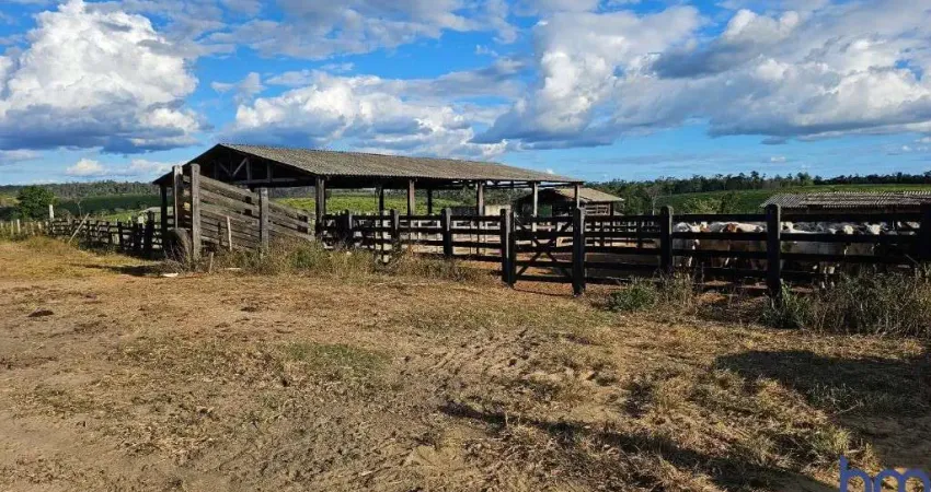 FAZENDA COM 200 ALQUEIRES DE DUPLA APTIDÃO EM ITINGA DO MARANHÃO-MA