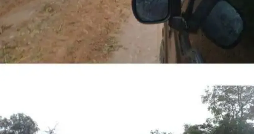 FAZENDA BRUTA COM 37 ALQUEIRES DE DUPLA APTIDÃO EM CAXIAS-MA