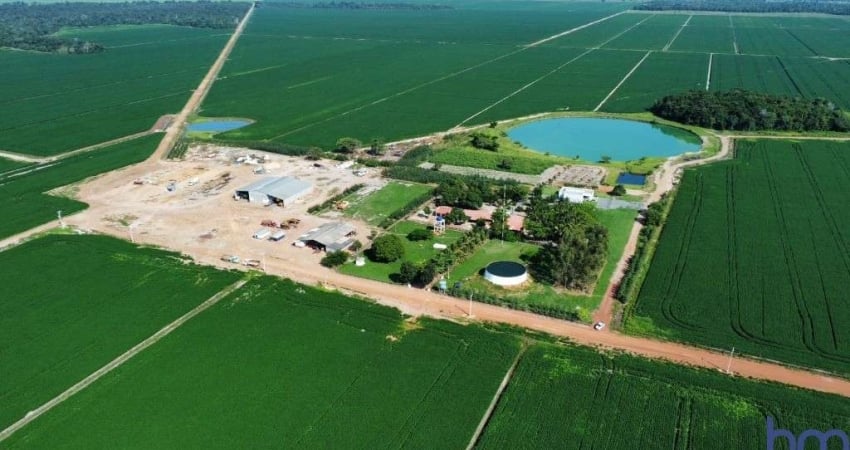 FAZENDA COM 550 ALQUEIRES PARA AGRICULTURA EM SANTANA DO ARAGUAIA-PA