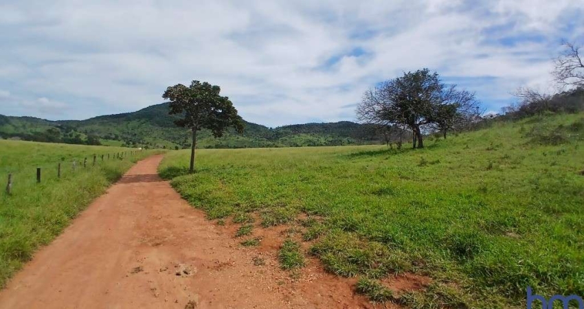 FAZENDA COM 153 ALQUEIRES PARA PECUÁRIA EM TROMBAS-GO
