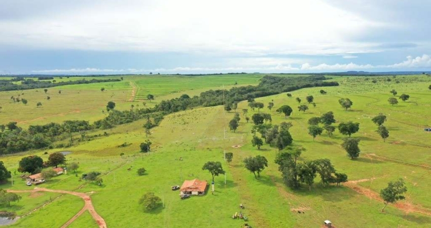 FAZENDA COM 1.240 ALQUEIRES DE DUPLA APTIDÃO EM GUIRATINGA-MT