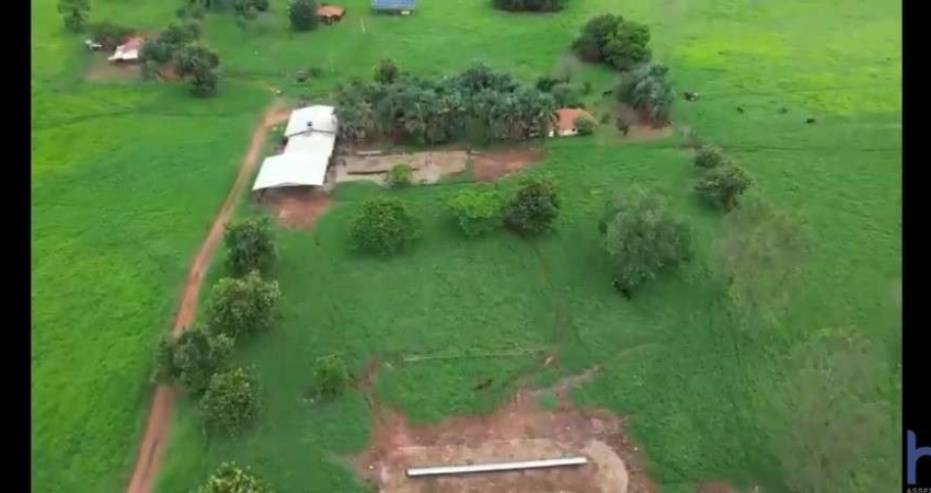 FAZENDA COM 59 ALQUEIRES DE DUPLA APTIDÃO EM ITUIUTABA-MG