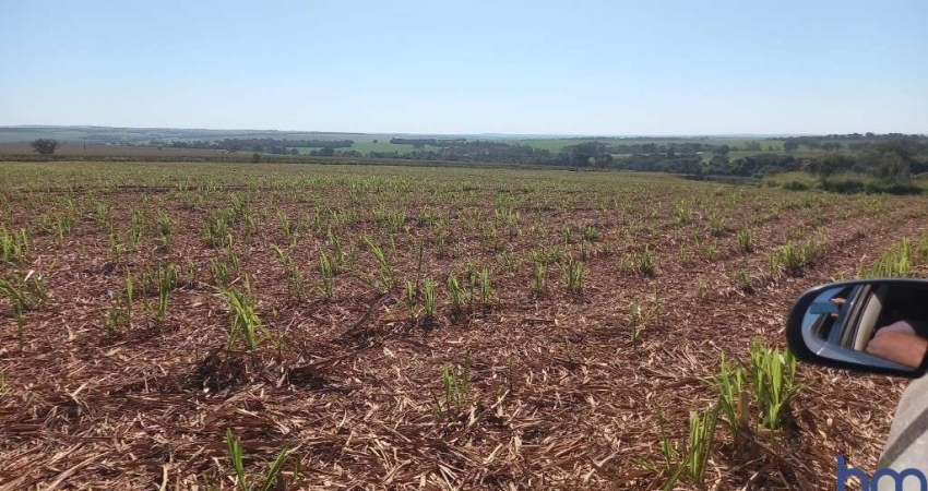 FAZENDA COM 50 ALQUEIRES DE DUPLA APTIDÃO COM CANA ARRENDADA EM CONCEIÇÃO DAS ALAGOAS-MG