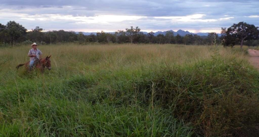 OPORTUNIDADE FAZENDA COM 202 ALQUEIRES DE DUPLA APTIDÃO EM CAVALCANTE-GO