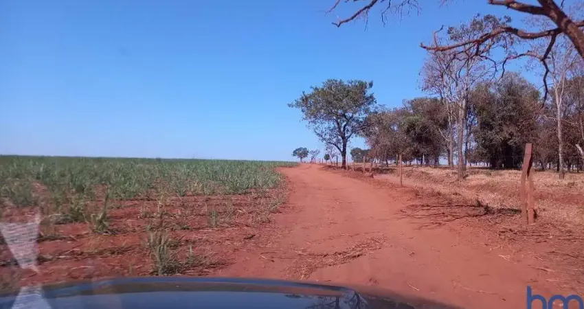 FAZENDA COM 150 ALQUEIRES EM PLANTIO DE CANA ARRENDADA EM UBERABA-MG