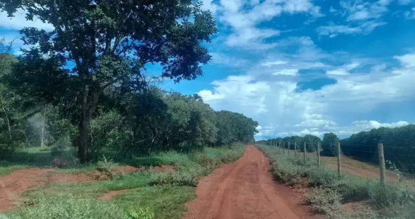 FAZENDA COM 32 ALQUEIRES DE DUPLA APTIDÃO EM UBERLÂNDIA-MG