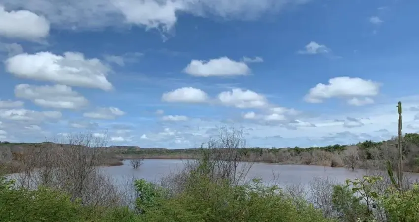 FAZENDA DE DUPLA APTIDÃO COM 3.590 ALQUEIRES NO SUL DO PIAUÍ