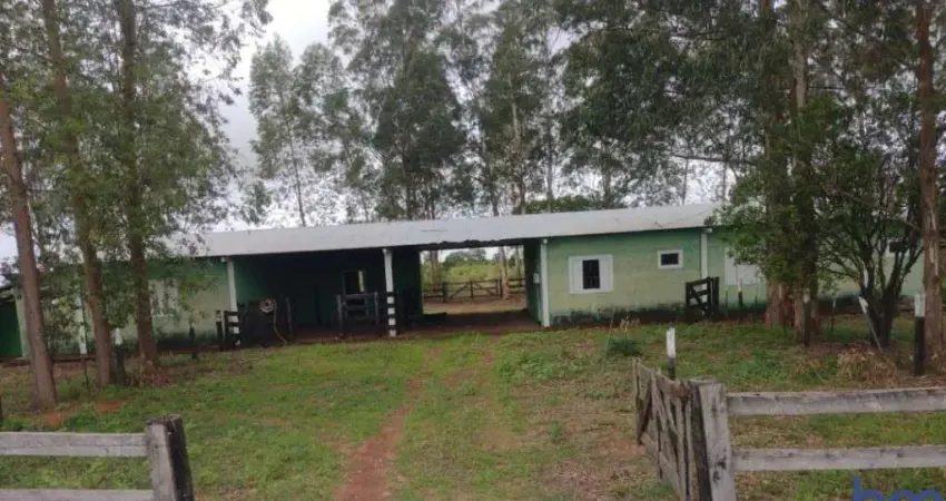 Fazenda com 2.850 alqueires de dupla aptidão em santo antônio do leste-mt