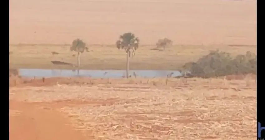 Fazenda de dupla aptidão com 67 alqueires em santa vitória-mg