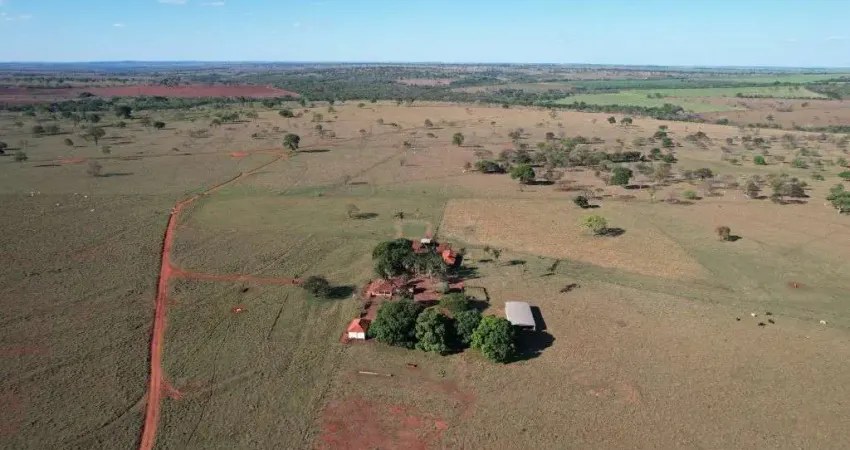 Fazenda de múltiplas aptidões com 53 alqueires à margem do rio grande em são francisco de sales-mg