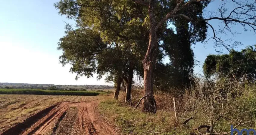 Fazenda com 41 alqueires com cana arrendada em carneirinho-mg