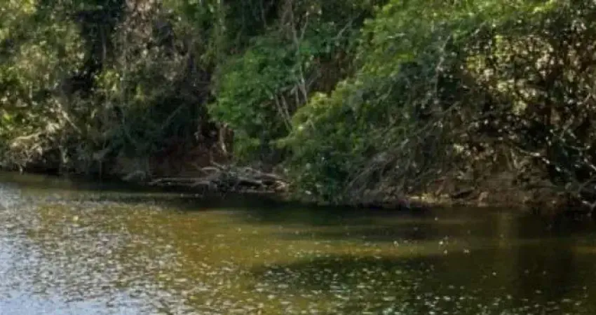 Fazenda à venda na Estrada Vicinal Municipal de Colinas do Sul, s/nº, Zona Rural, Colinas do Sul