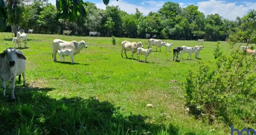 Fazenda à venda na Estrada Vicinal Municipal de Gurinhatã, Km 6,8, Zona Rural, Gurinhatã