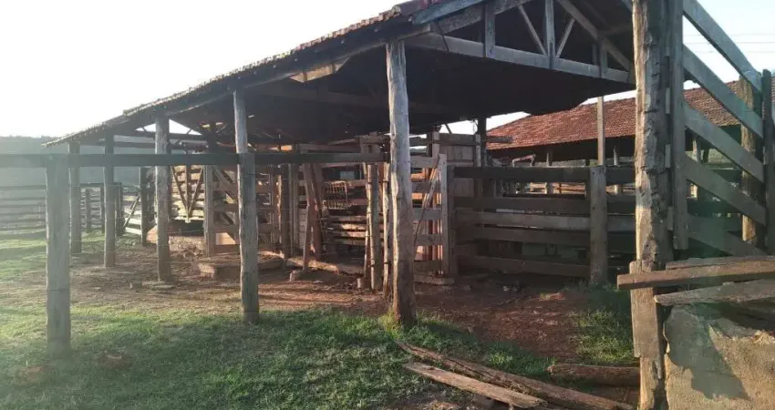 Fazenda de dupla aptidão com 125 alqueires em campina verde-mg