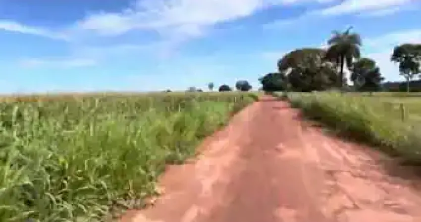 Fazenda com 92 alqueires de dupla aptidão em mutunópolis-go