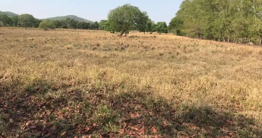 Fazenda à venda na Estraca Vicinal Municipal de Mozarlândia, Km 15, Zona Rural, Mozarlândia