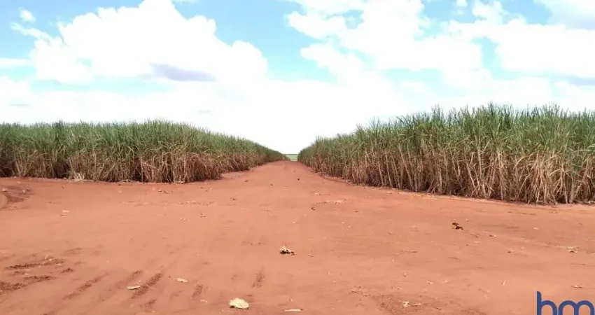 Fazenda com 141 alqueires com cana arrendada em são francisco de sales