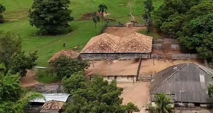 Fazenda à venda na Estrada Vicinal Municipal de Ipameri, Km 25, Zona Rural, Ipameri