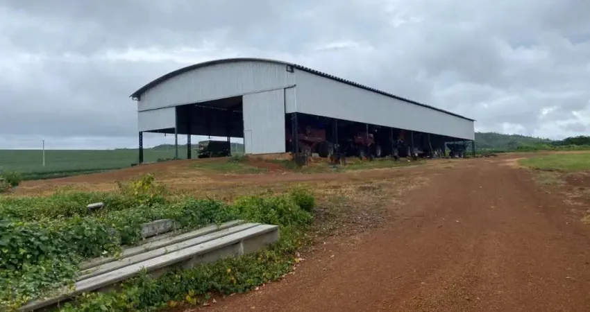 Fazenda com 310 alqueires de dupla aptidão em água fria de goiás-go