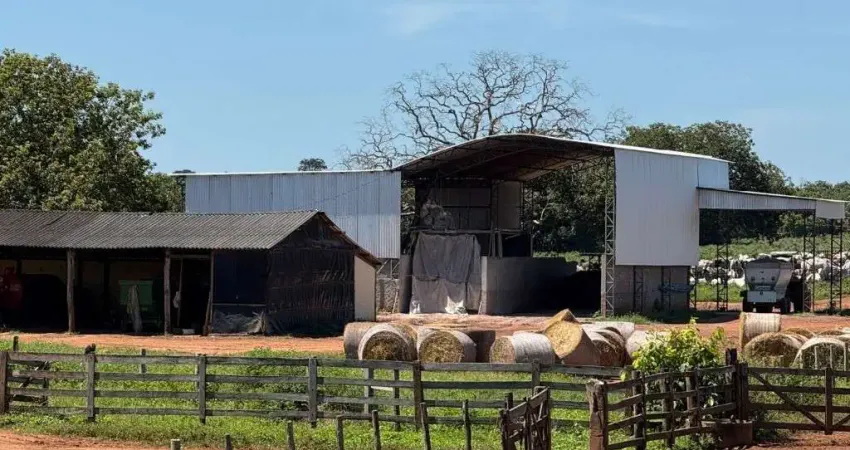 Fazenda com 510 alqueires de dupla aptidão em são joão da aliança-go