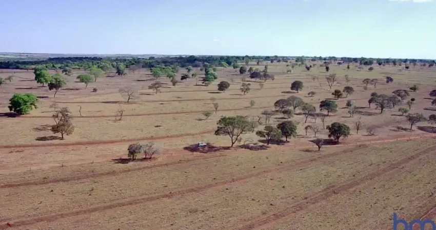 Fazenda com 58 alqueires de dupla aptidão em campina verde-mg