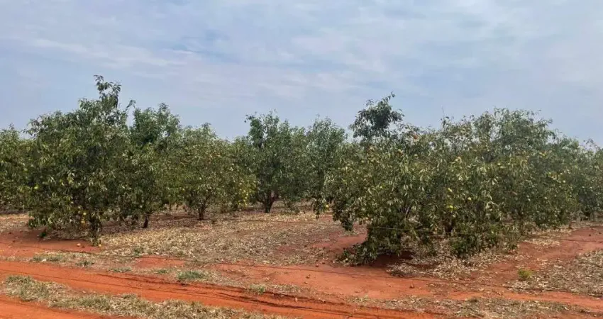 Fazenda com 45 alqueires em cultivo de laranja irrigada em campina verde-mg